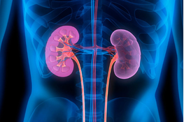 Kidney Disease Management
